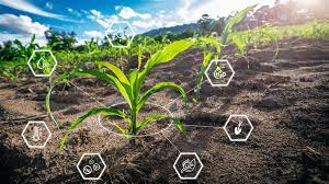 Innovations in Sustainable Agriculture Technology for Remote Farming